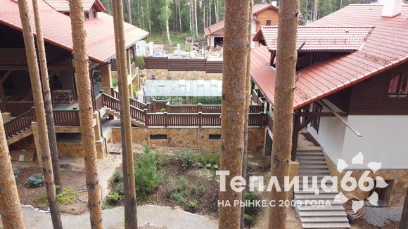 Гигант теплица ботаник максимум!