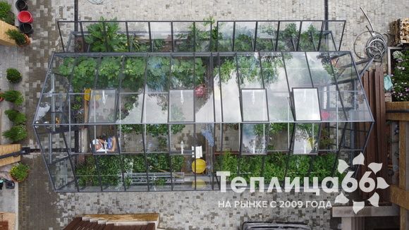 Гигант теплица ботаник максимум!