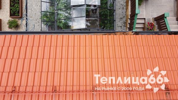 Гигант теплица ботаник максимум!