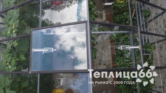 Гигант теплица ботаник максимум!