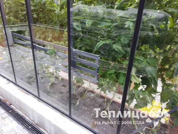 Гигант теплица ботаник максимум!