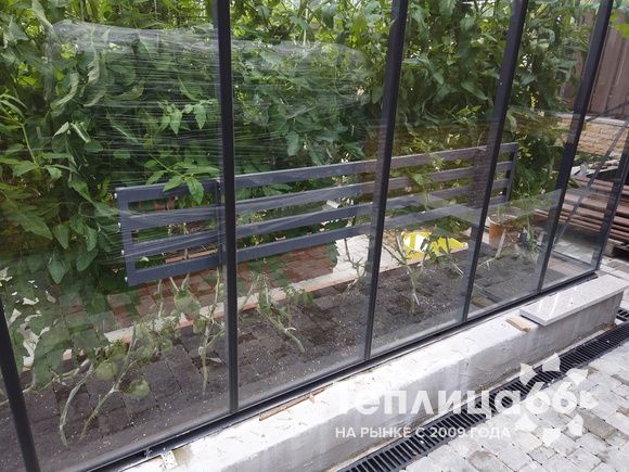 Гигант теплица ботаник максимум!